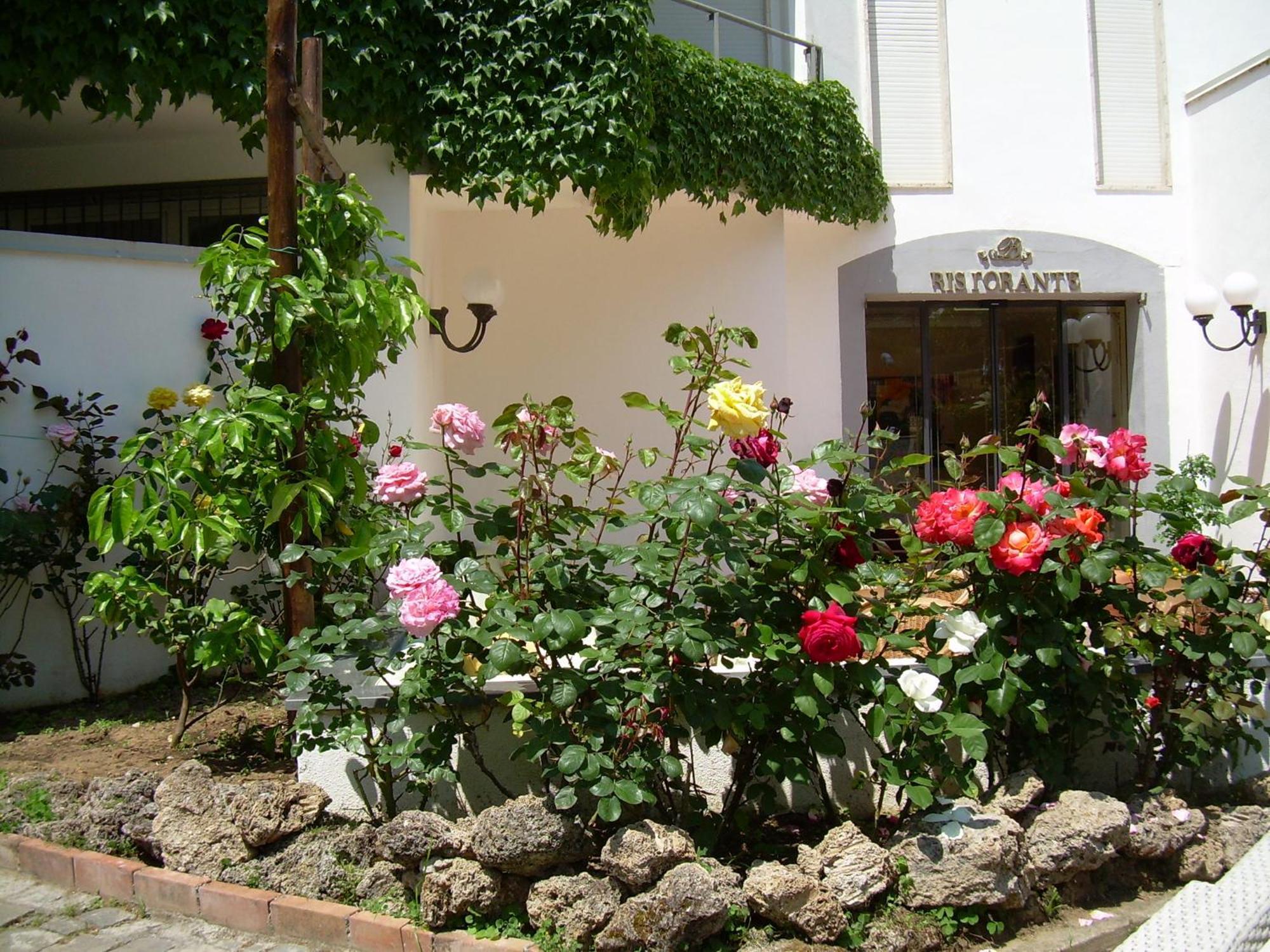 Hotel Baia Palinuro Extérieur photo